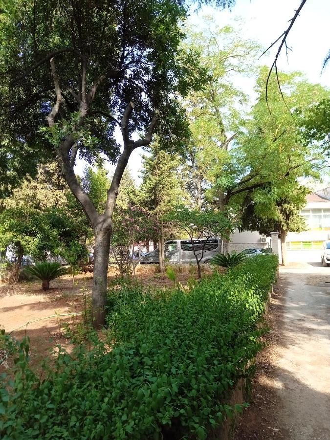 Vila Mignon 1