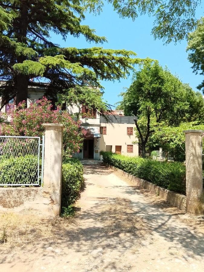 Apartman Vila Mignon 1 Pula
