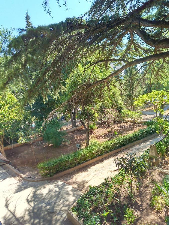 Vila Mignon 1 Apartman *