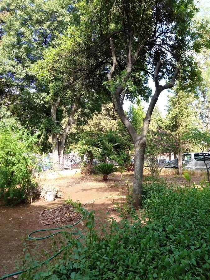 Apartman Vila Mignon 1
