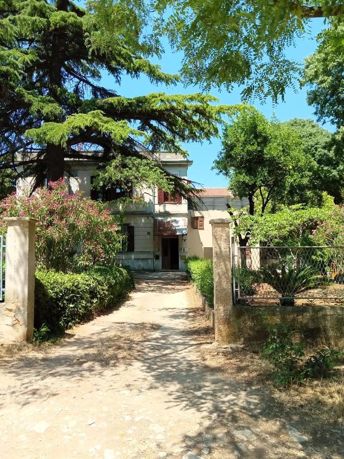 Vila Mignon 1 Apartment Pula