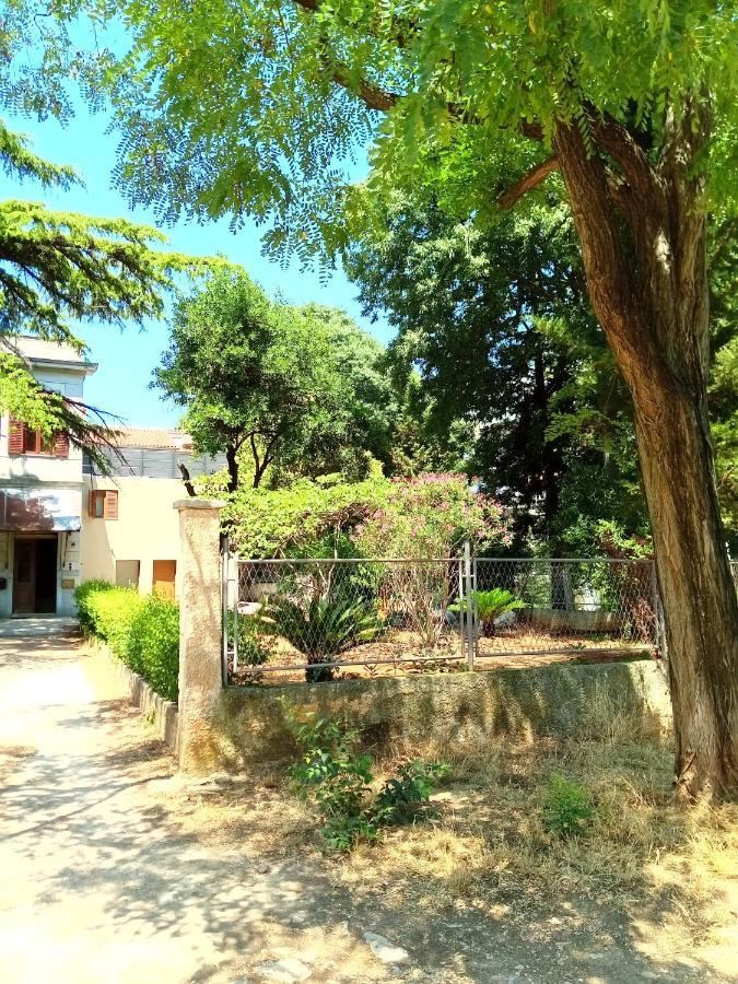 Vila Mignon 1 Apartment *