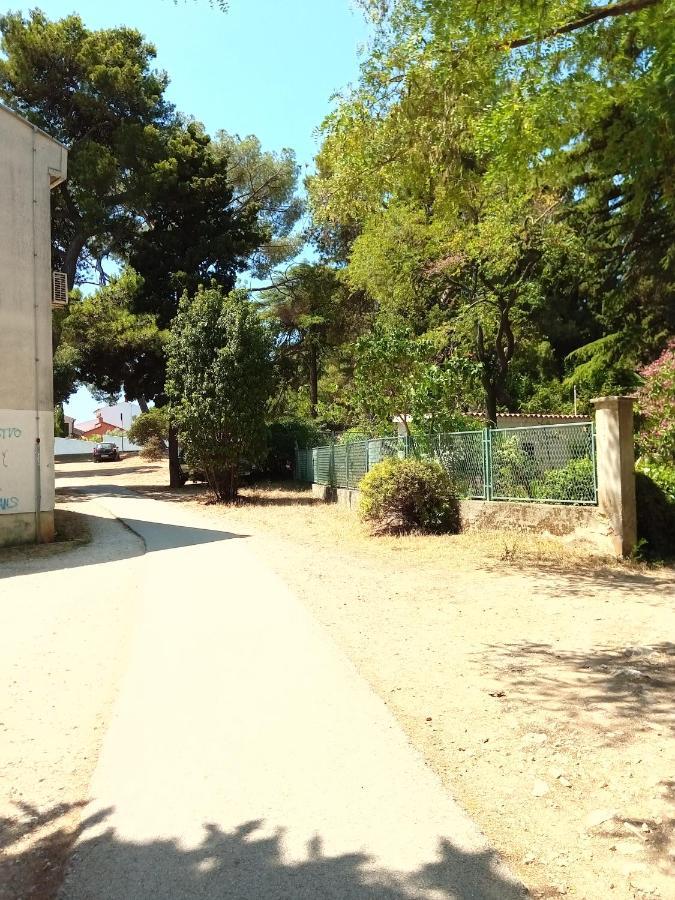 Apartment Vila Mignon 1
