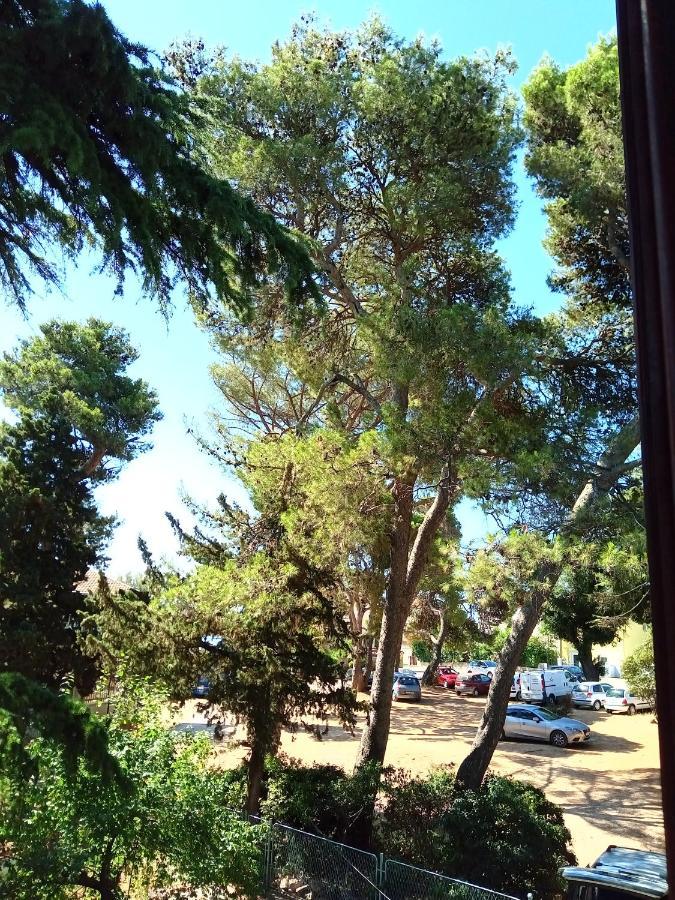 Vila Mignon 1 Apartment