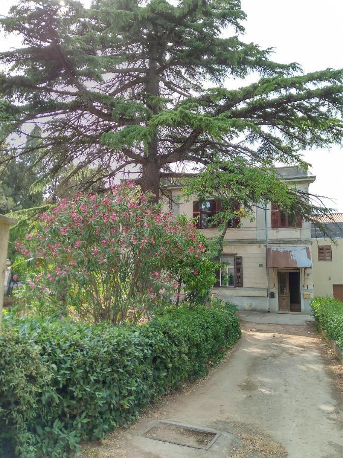 Vila Mignon 1 * Pula