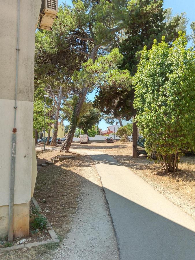Vila Mignon 1 * Pula
